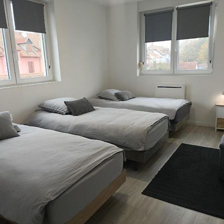 Appartement Entier F3 Renove - Petite Pause A זלסטאט מראה חיצוני תמונה