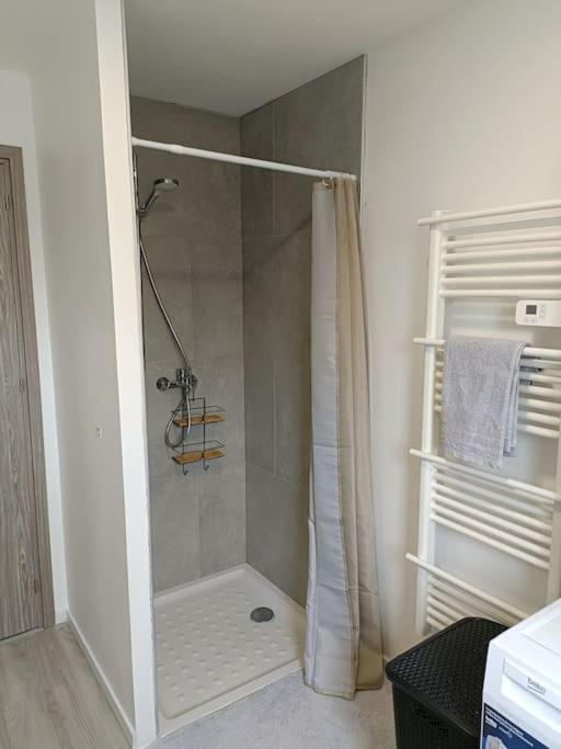 Appartement Entier F3 Renove - Petite Pause A זלסטאט מראה חיצוני תמונה