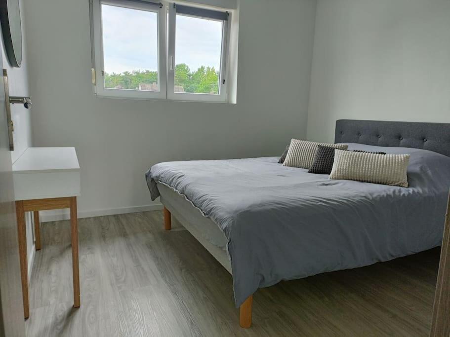 Appartement Entier F3 Renove - Petite Pause A זלסטאט מראה חיצוני תמונה