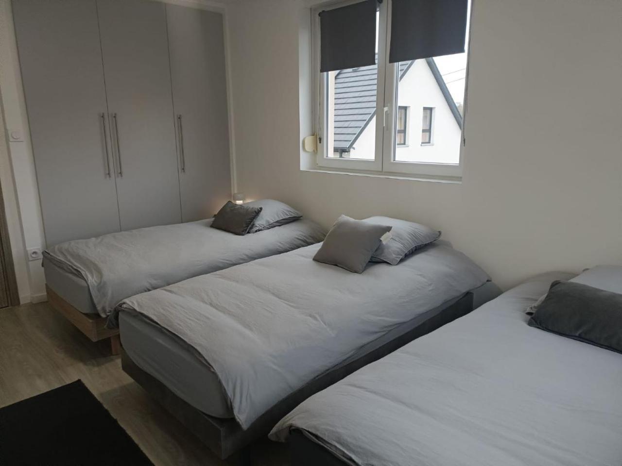 Appartement Entier F3 Renove - Petite Pause A זלסטאט מראה חיצוני תמונה