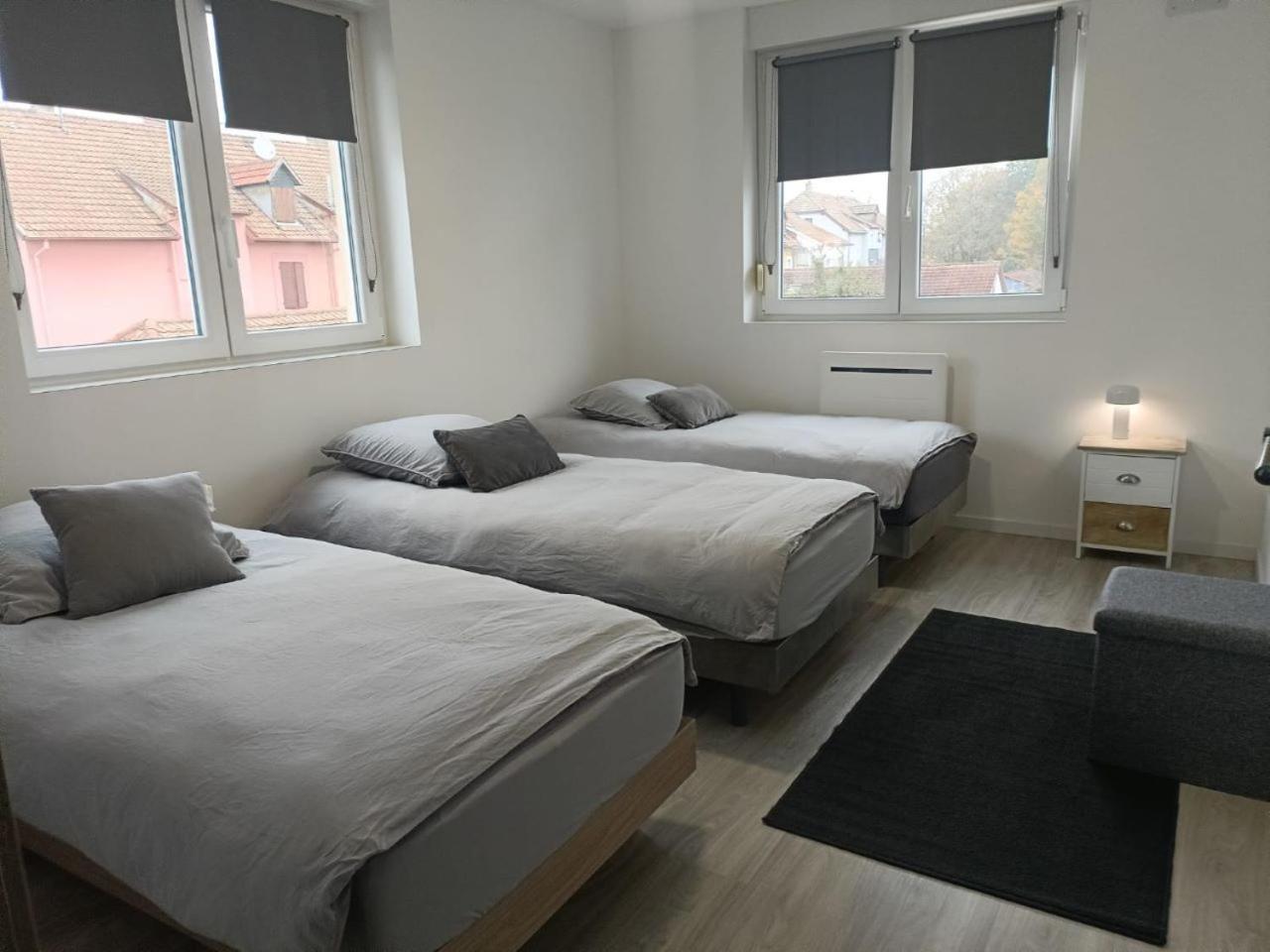 Appartement Entier F3 Renove - Petite Pause A זלסטאט מראה חיצוני תמונה